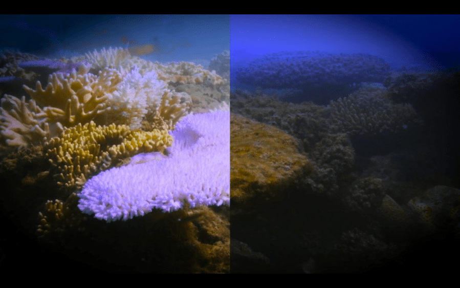 Screen Shot 2017-08-31 at 10.22.42 PM