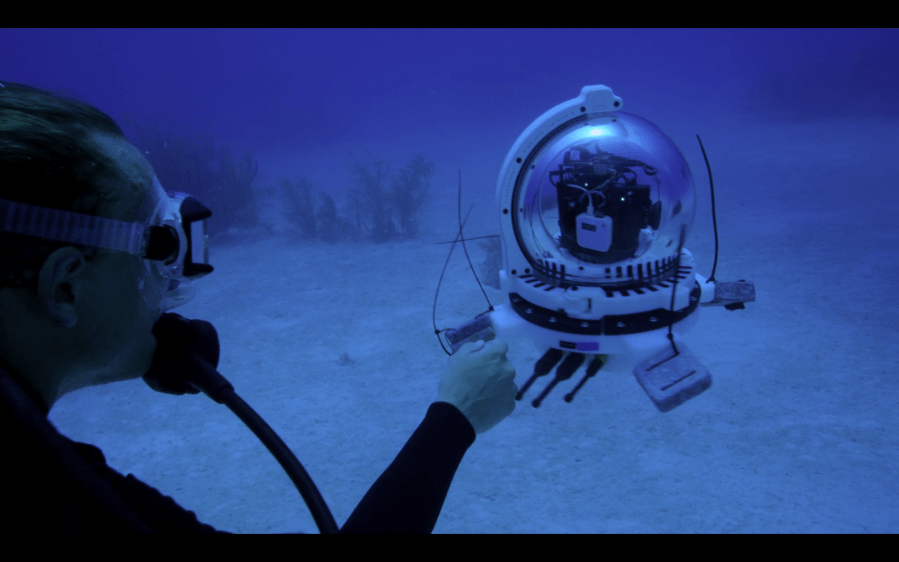 Screen Shot 2018-01-01 at 10.40.33 PM