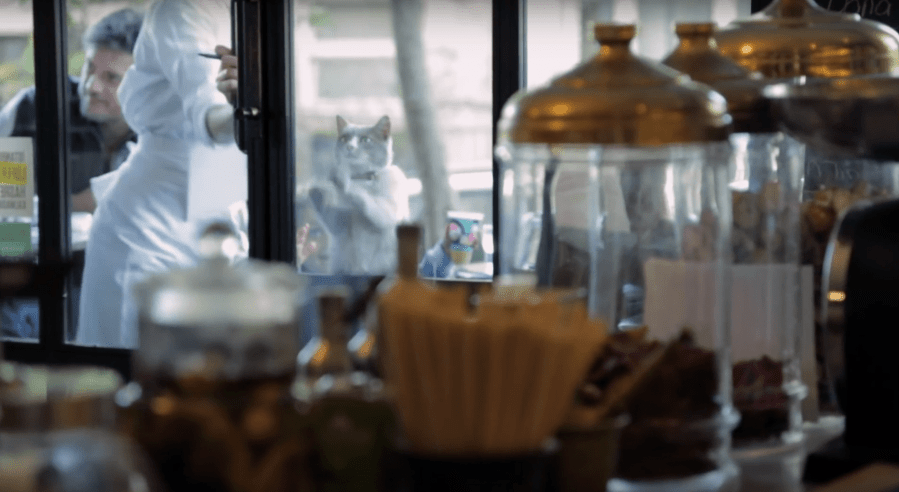 Screen Shot 2018-04-30 at 10.40.42 PM