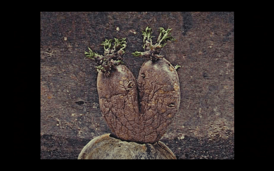 Screen Shot 2018-09-30 at 8.22.02 PM