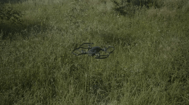 Screen Shot 2019-08-21 at 4.38.03 PM