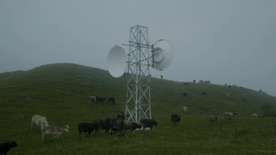 Screen Shot 2020-02-29 at 11.58.27 PM