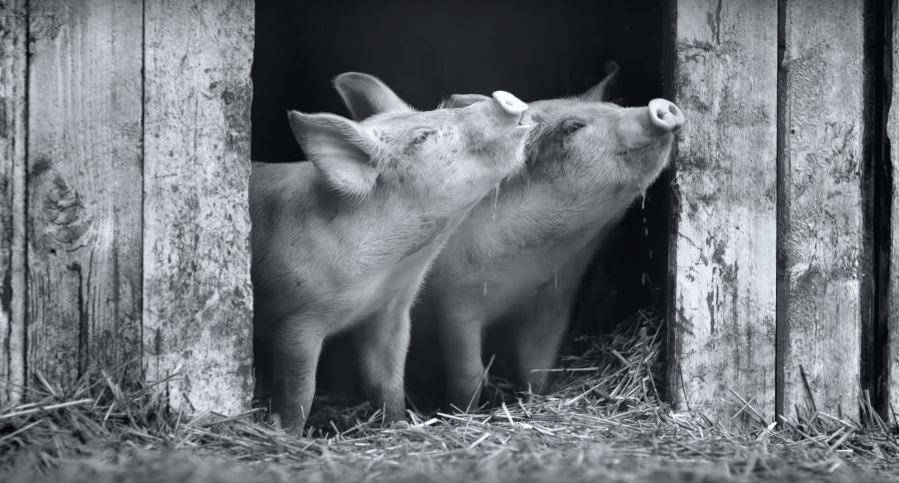 Screen Shot 2021-03-15 at 1.30.24 PM