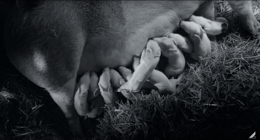 Screen Shot 2021-08-31 at 8.53.20 PM