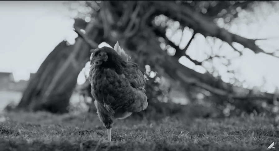 Screen Shot 2021-08-31 at 8.57.45 PM